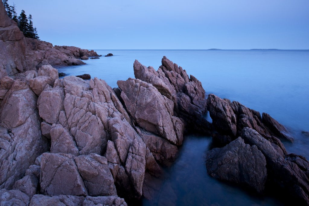 Detail of Atlantic Coastline, Acadia National Park, Maine by Anonymous