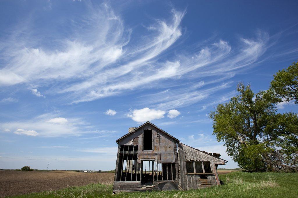 Detail of Abandoned Farm, Welch, Minnesota by Anonymous