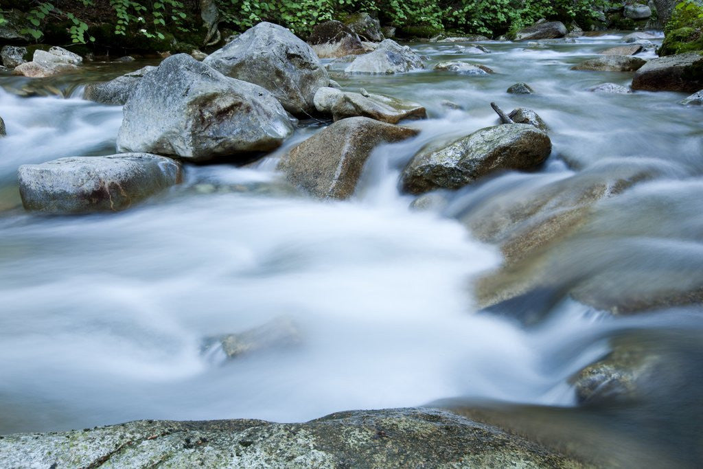 Detail of River in White Mountains, New Hampshire by Anonymous