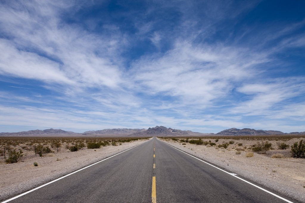 Detail of Desert Highway, Beatty, Nevada by Anonymous