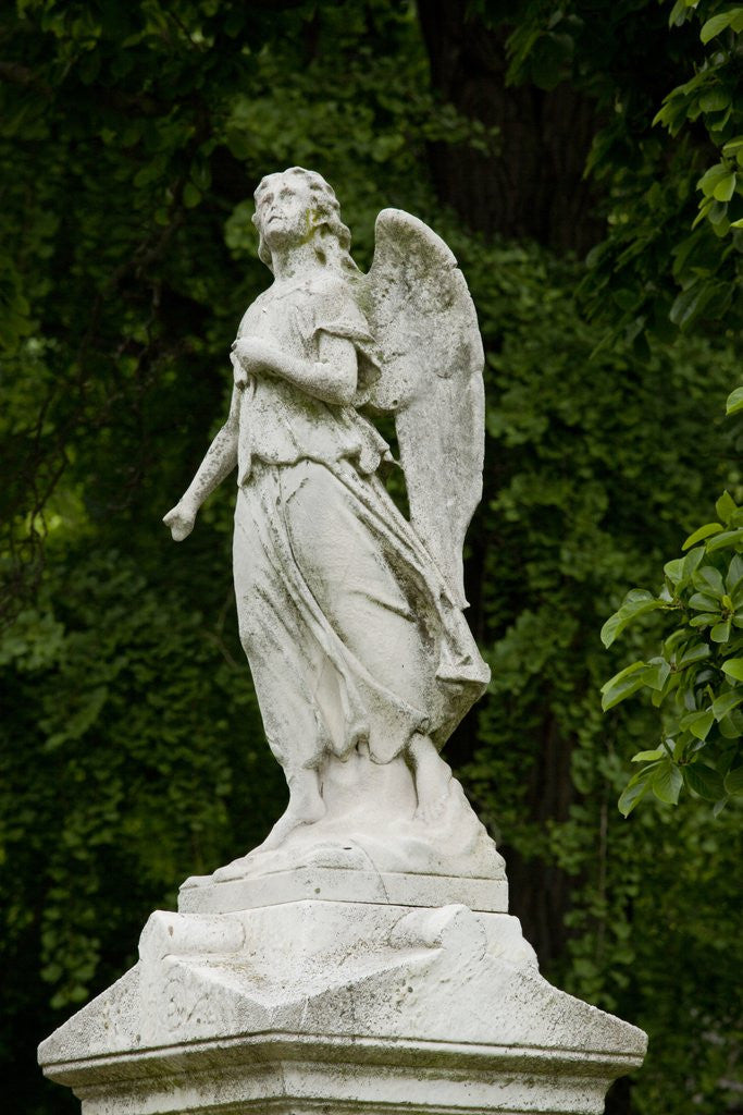Detail of Greenwood Cemetery, New York by Corbis