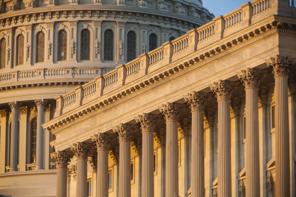 Detail of US Capitol Dome by Anonymous
