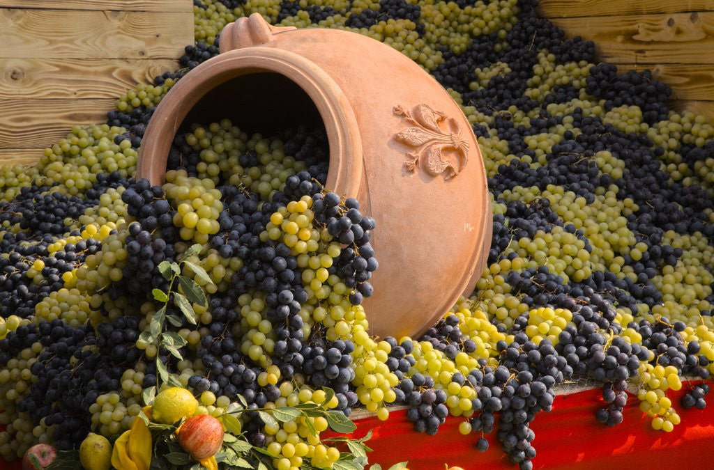Detail of Vineyards near Monte Falco by Anonymous