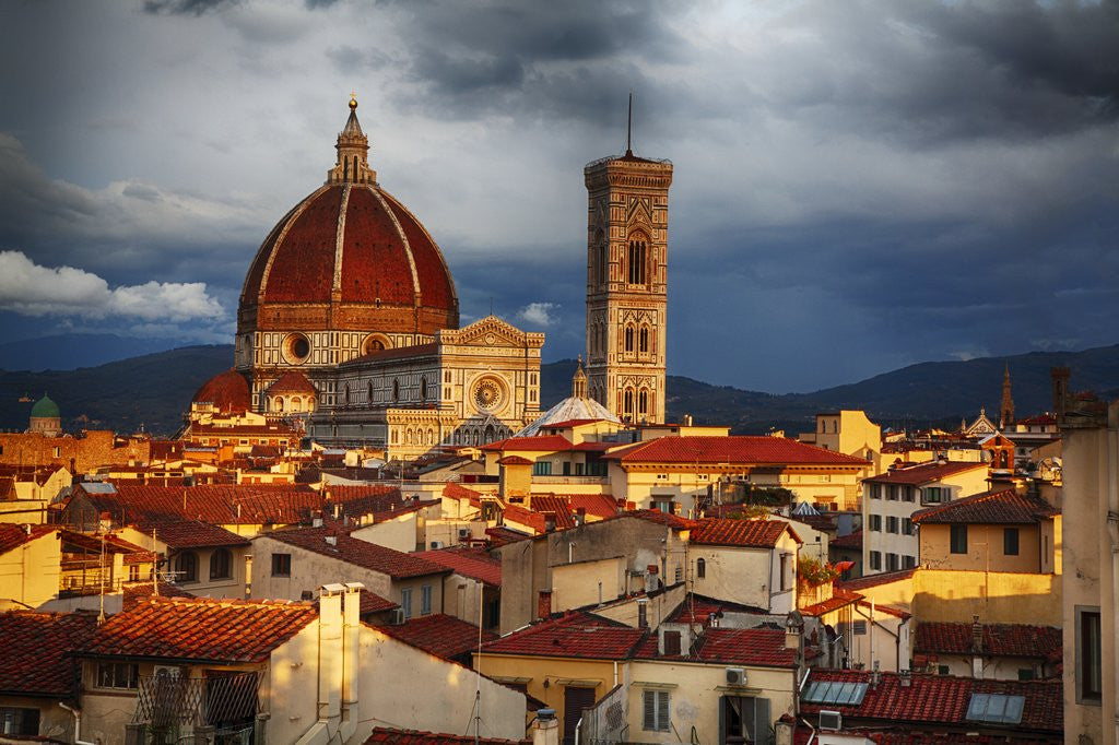 Detail of The Duomo of Florence with evening light by Anonymous