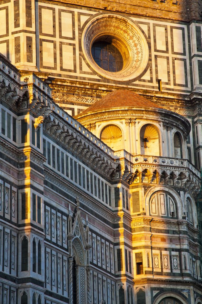 Detail of The Duomo of Florence with evening light by Anonymous