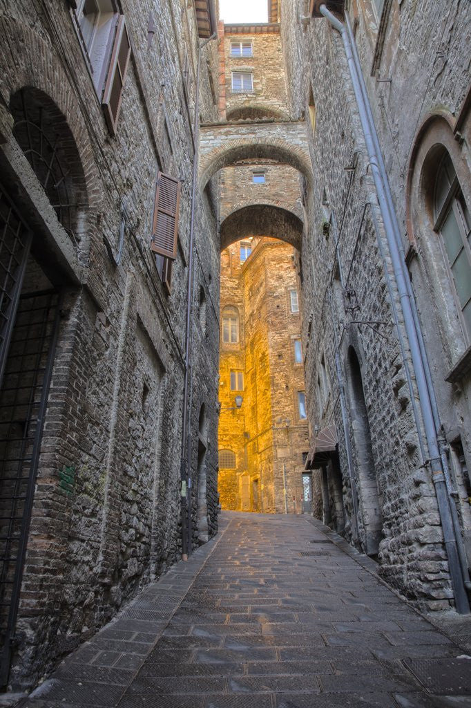 Detail of Back road of Perugia by Anonymous
