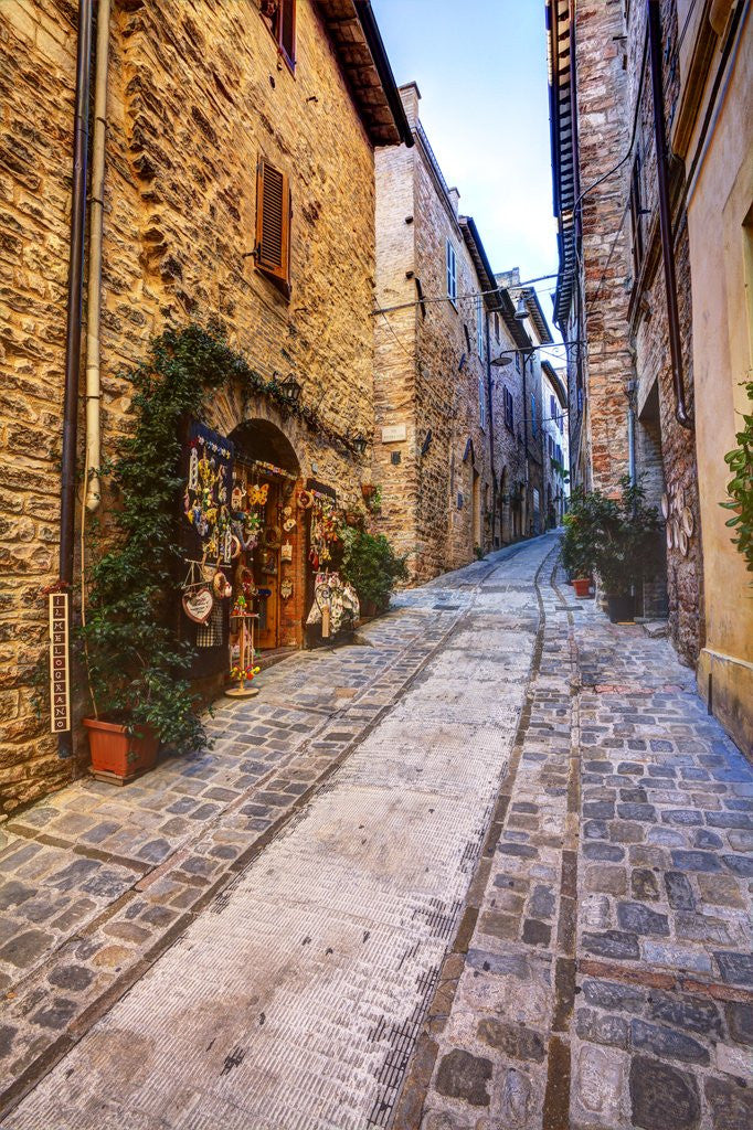Detail of Street in Spello, Italy by Anonymous