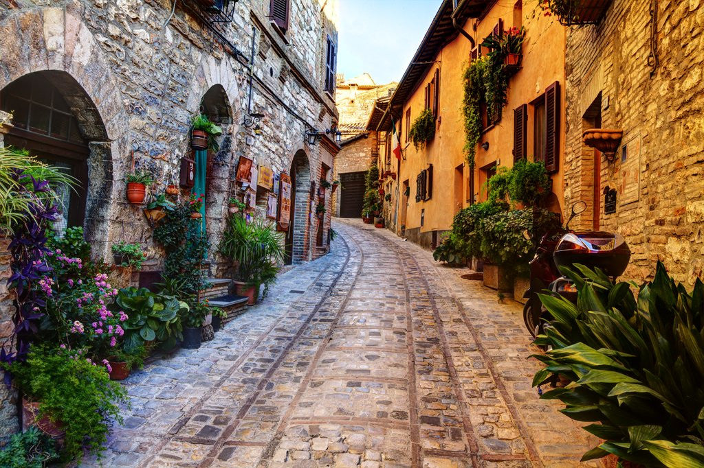 Detail of Street in Spello, Italy by Anonymous