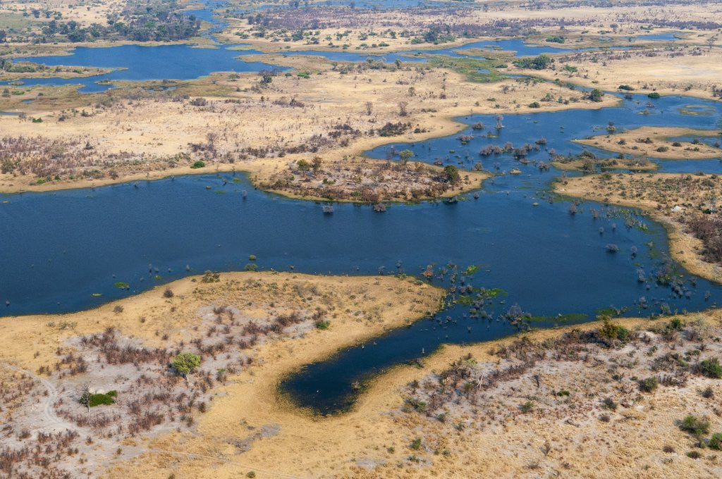 Detail of Okavango delta, Botswana by Corbis