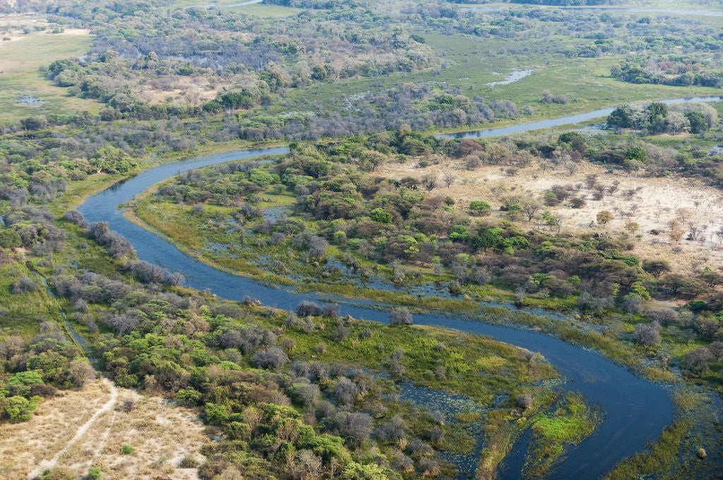 Detail of Okavango delta, Botswana by Anonymous