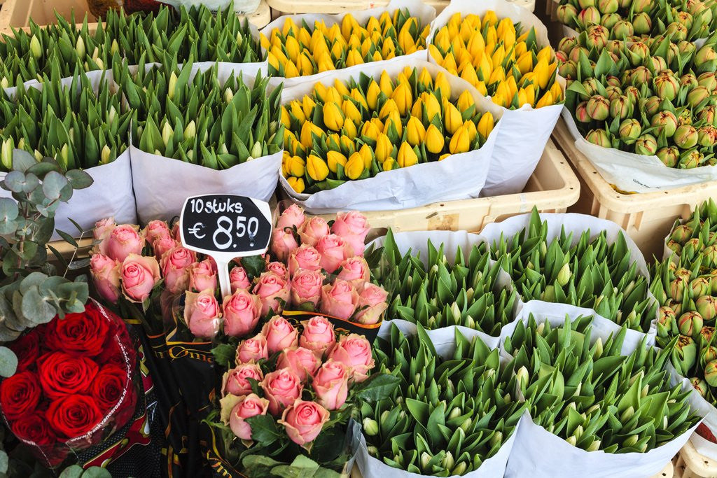 Detail of Flower market, Amsterdam by Anonymous