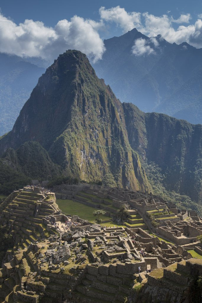 Detail of Machu Picchu, Peru, World Heritage Site by Anonymous