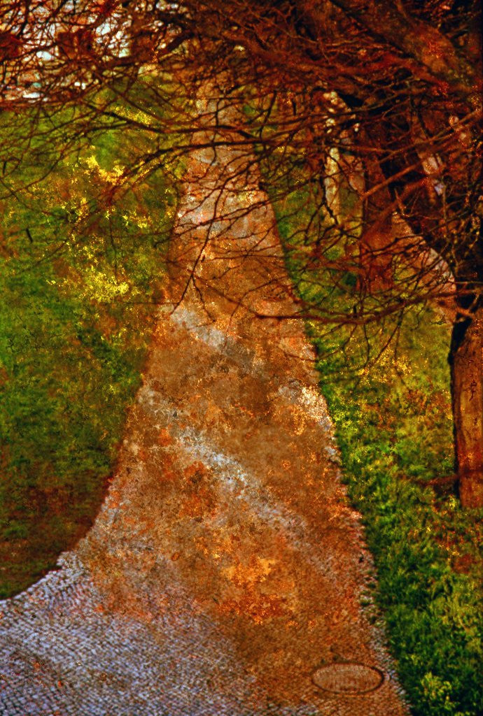 Detail of Way and Trees by Anonymous