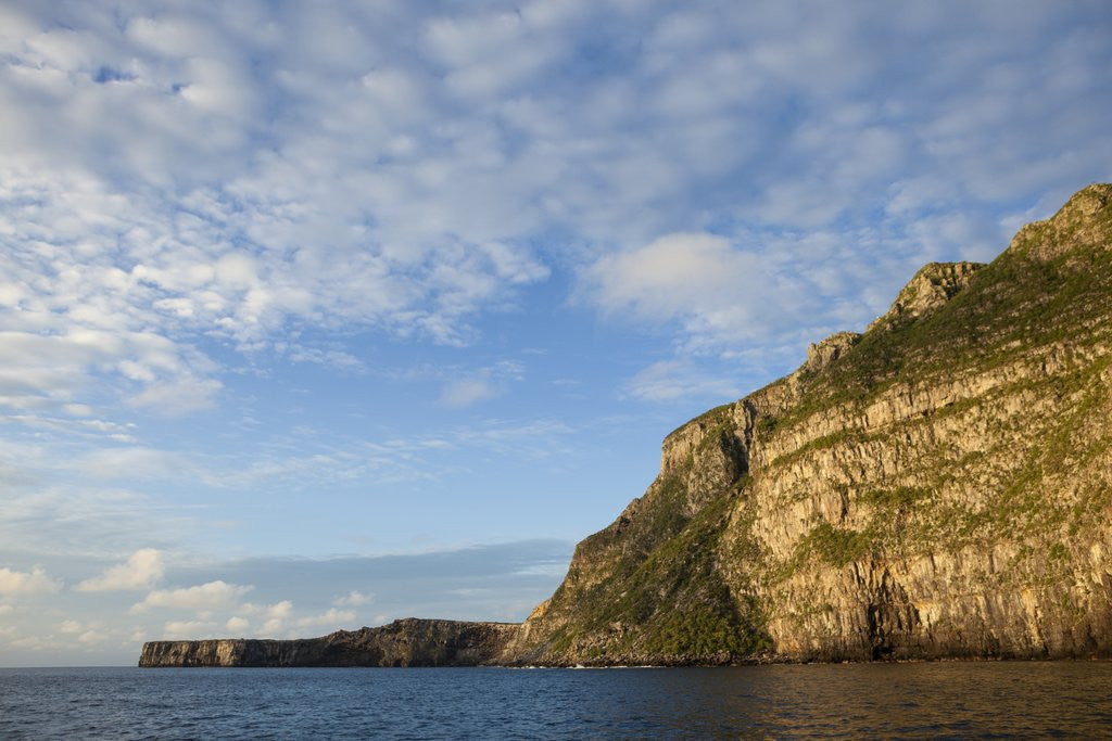 Detail of Wolf Island, Galapagos Islands by Anonymous