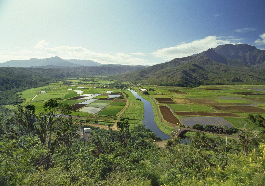 Detail of Hanaley Valley by Anonymous