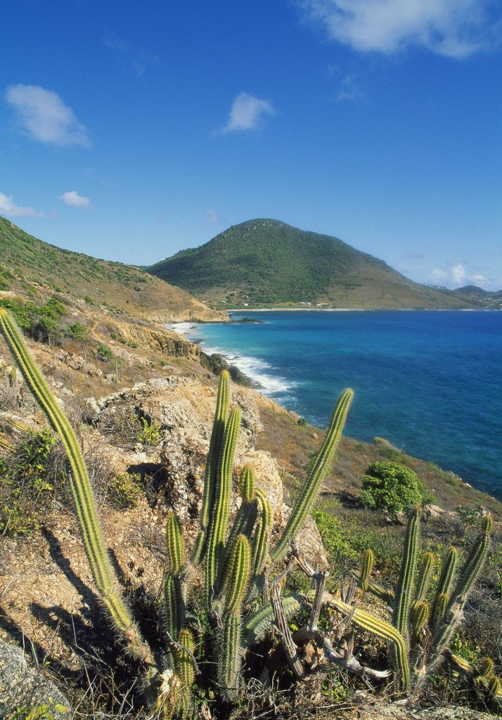Detail of Anse du Grand Fond by Anonymous