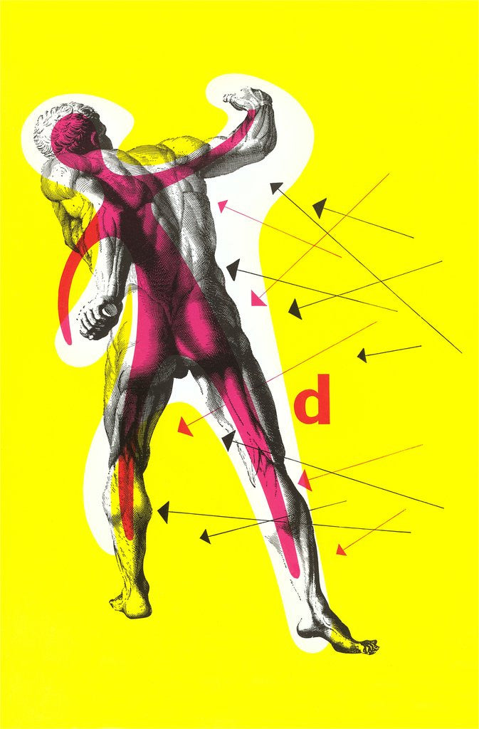 Detail of Poster of Arrows Pointing to Muscles by Corbis