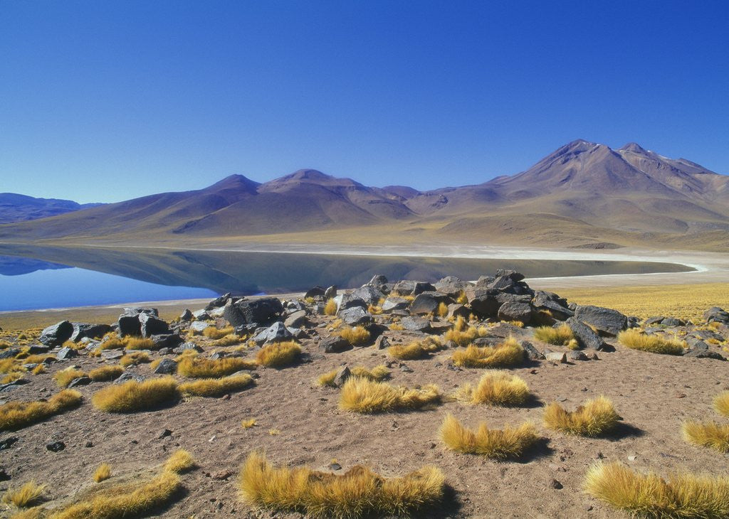 Detail of Atacama Desert by Corbis