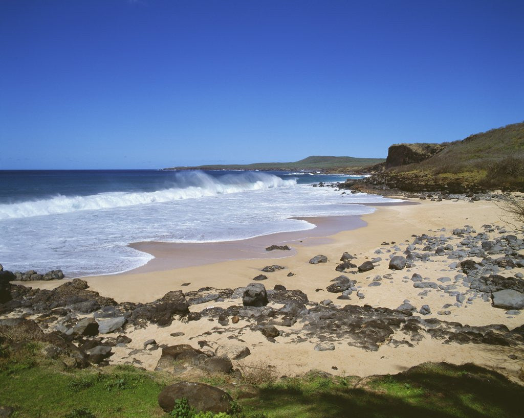Detail of Kaluakoi beach by Anonymous
