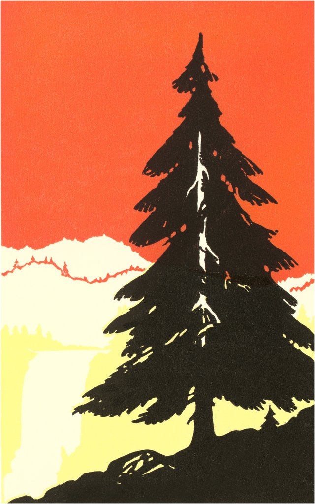 Detail of Lone Pine Silhouette by Corbis
