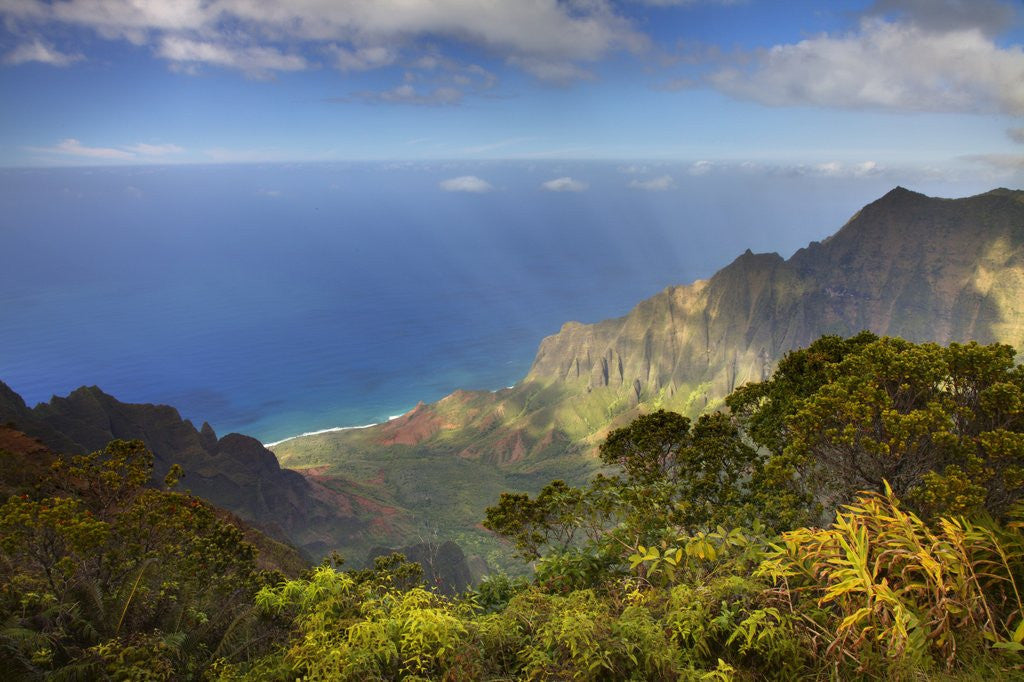 Detail of Canyon in Hawaii by Anonymous