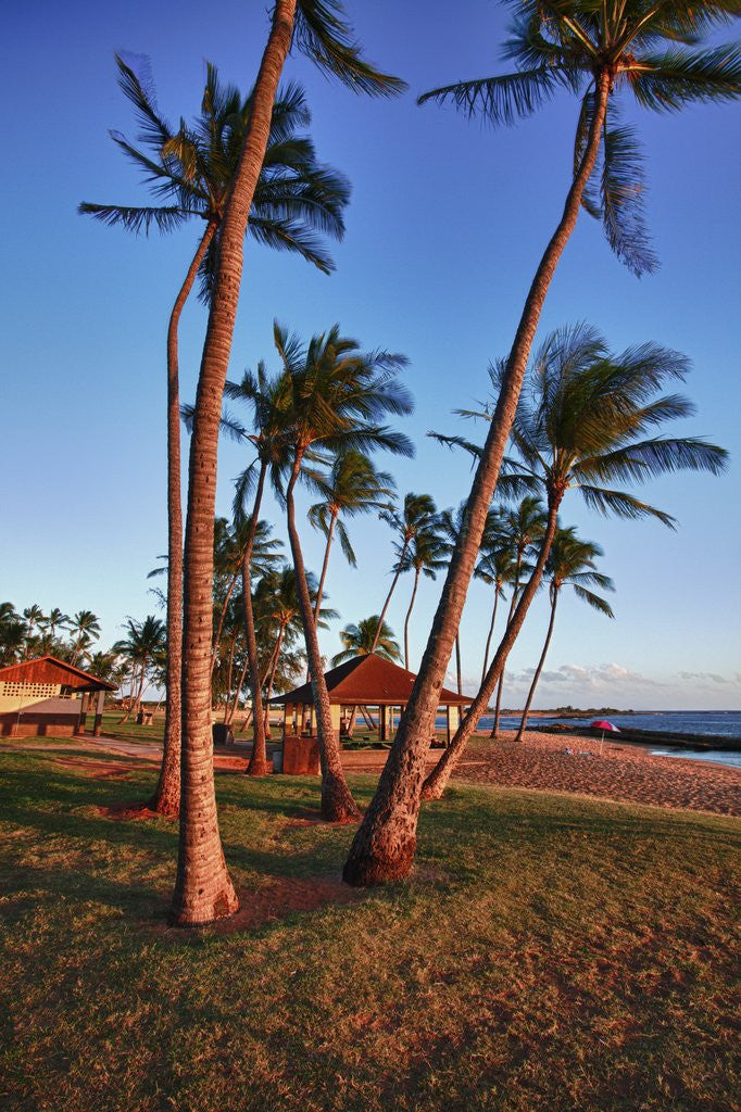 Detail of Evening Light on the Westside of Kauai by Anonymous