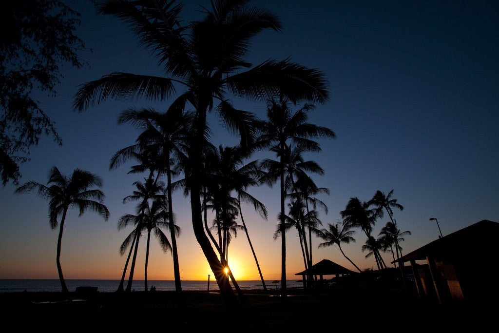 Detail of Sunset on the Westside of Kauai by Anonymous