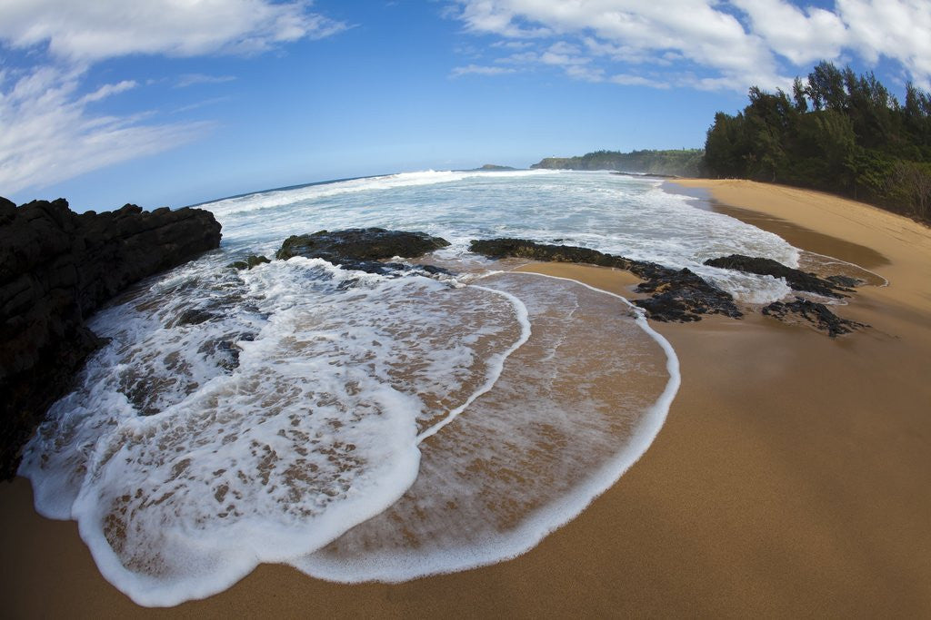Detail of Pristine sand beaches of Kauai, Hawaii by Anonymous