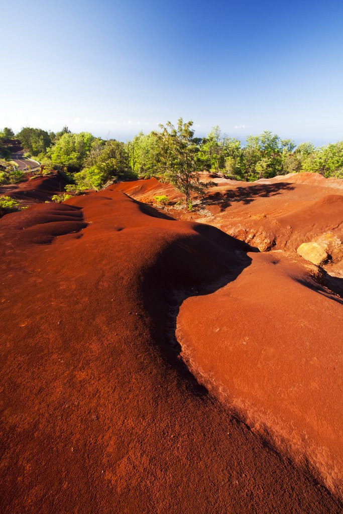 Detail of Red earth area of the Waimea Canyon by Anonymous