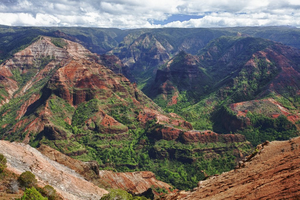 Detail of Waimea Canyon by Anonymous