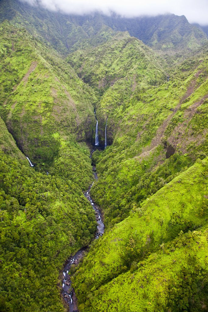 Detail of Waterfalls of Kauai by Anonymous