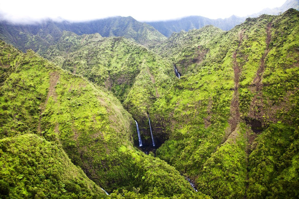 Detail of Waterfalls of Kauai by Anonymous