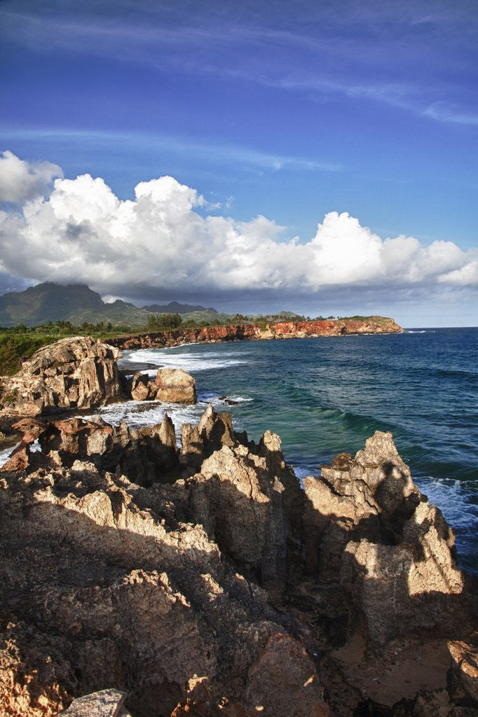 Detail of Jagged rock cliffs of Kauai by Anonymous
