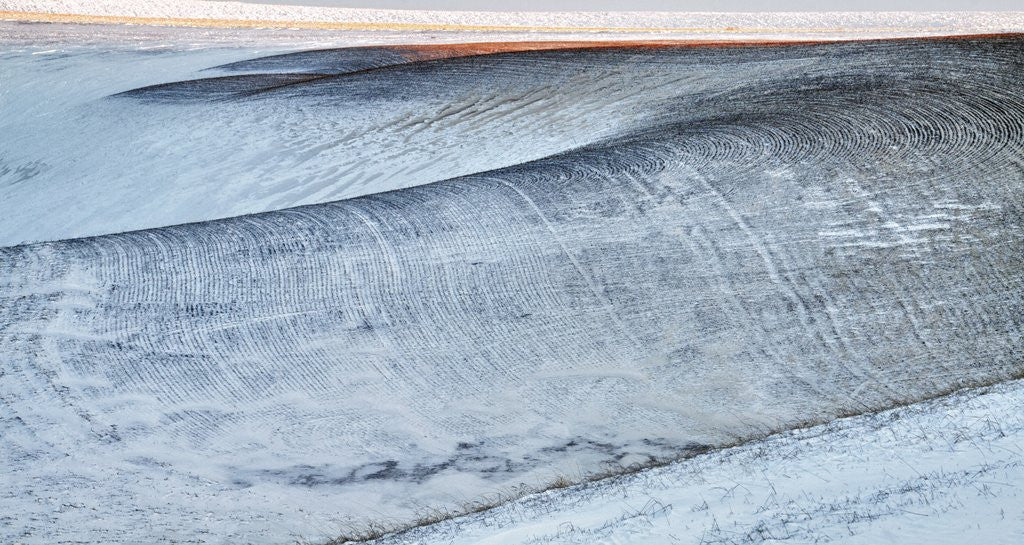 Detail of Patterns in snow covered wheat fields by Anonymous