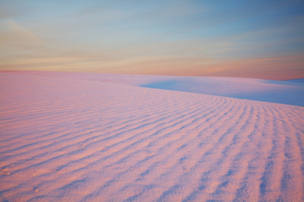 Detail of Sunset and patterns in snow covered wheat fields by Anonymous