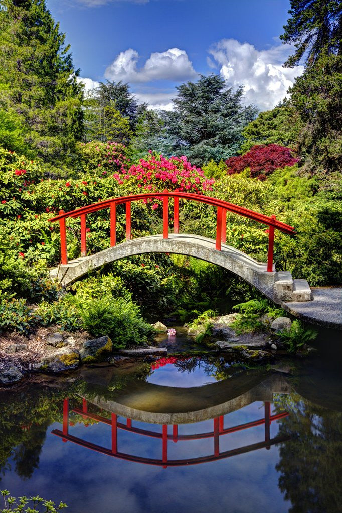 Detail of Kabota Gardens in Seattle by Corbis