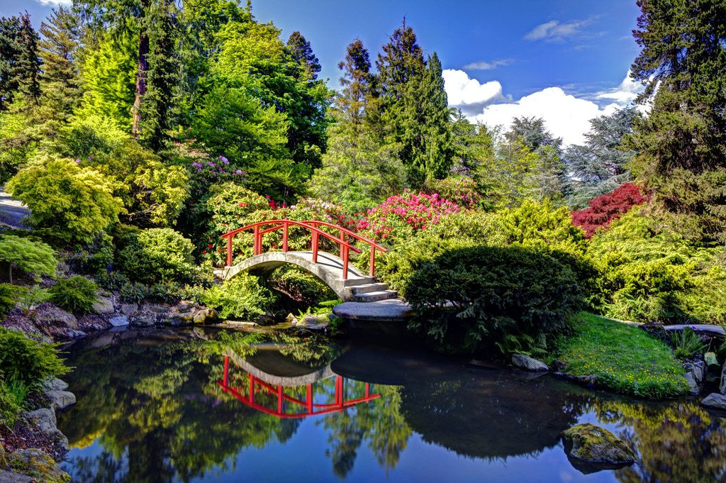 Detail of Kabota Gardens in Seattle by Anonymous