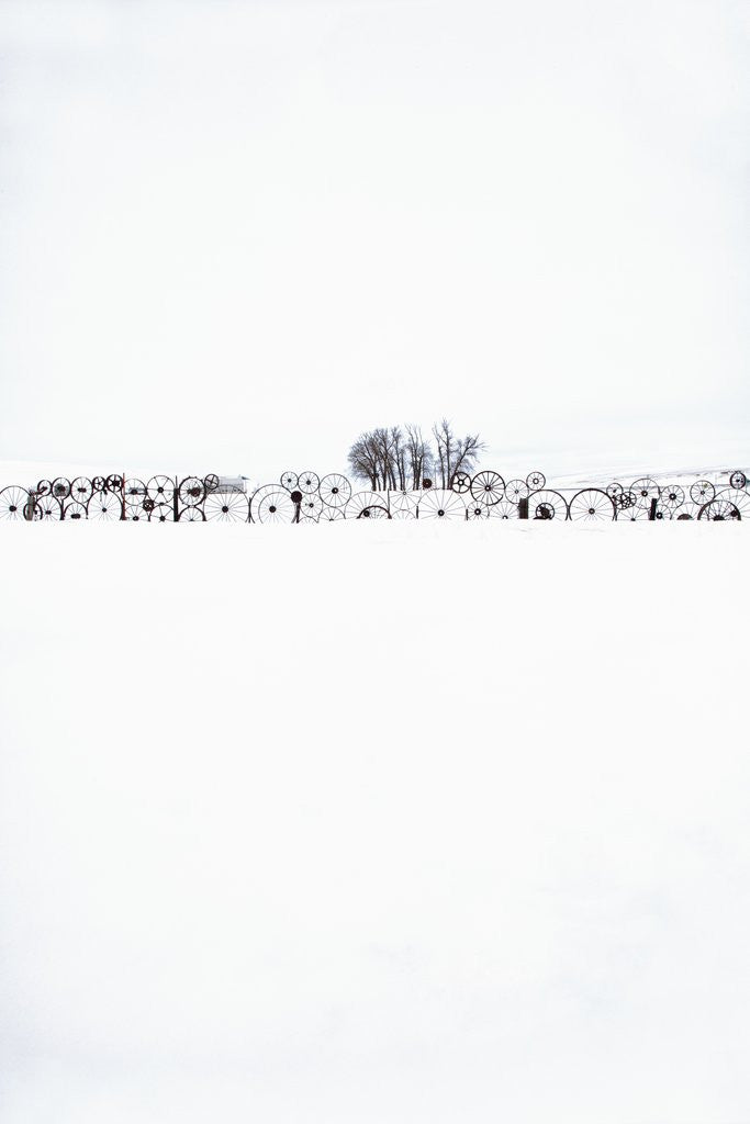 Detail of Fence made of old iron wheels on snow by Anonymous