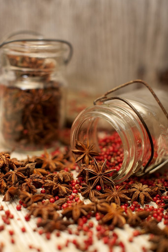 Detail of Star anise and red pepper corns around a rustic mason jar by Anonymous