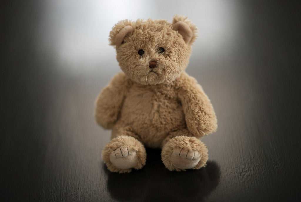 Detail of Studio shot of teddy bear by Anonymous