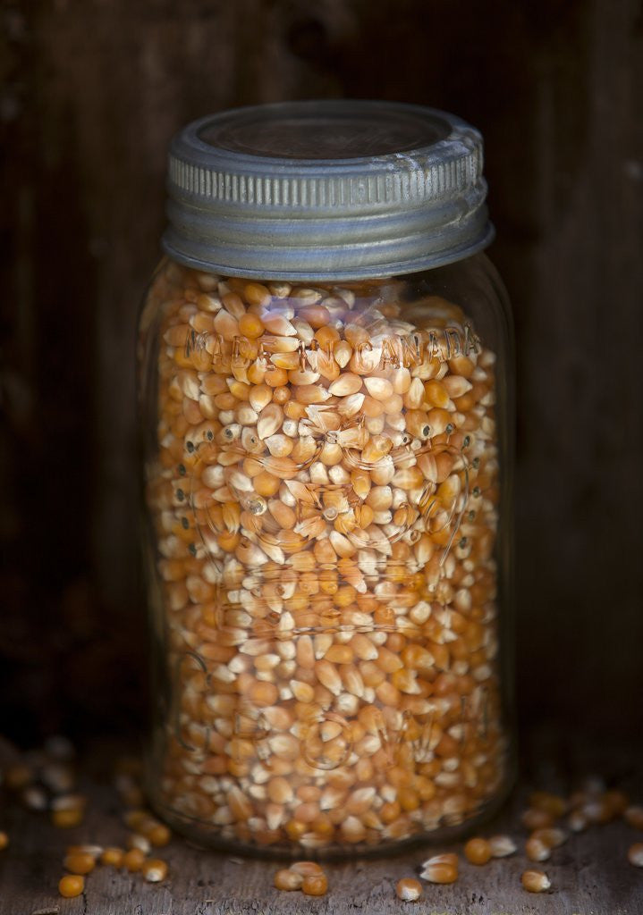 Detail of popcorn kernels in a mason jar by Anonymous