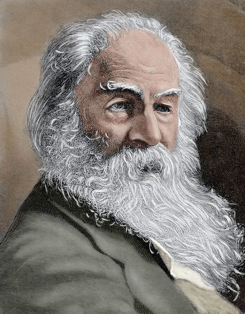 Detail of Walt Whitman (1819-1892). American poet., essayist and journalist by Corbis