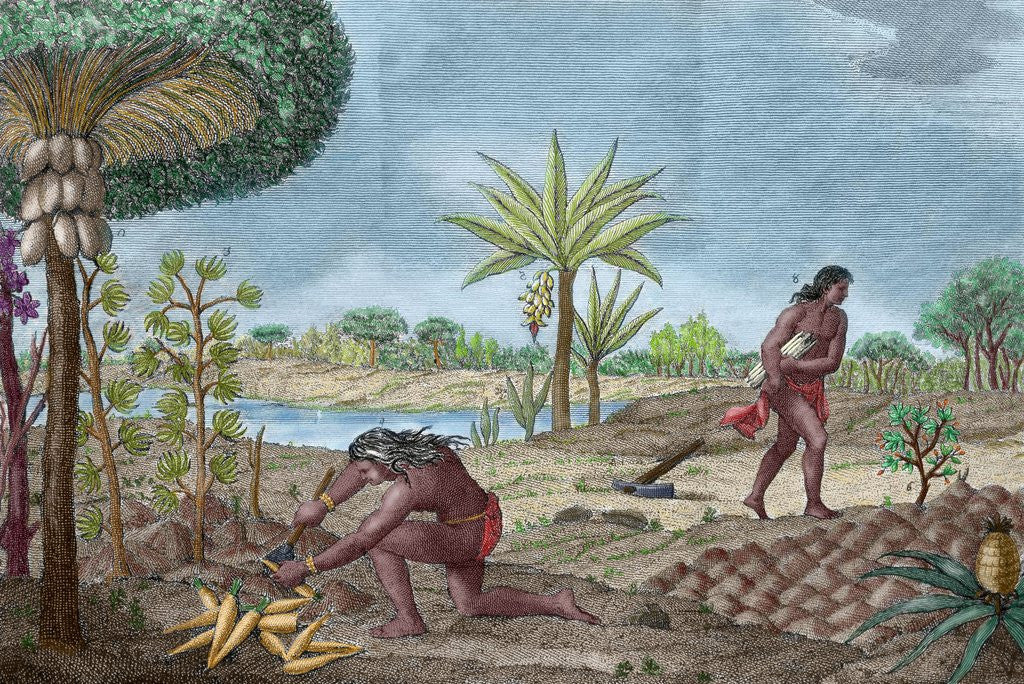 Detail of Yanomamo Indians of South America by Anonymous