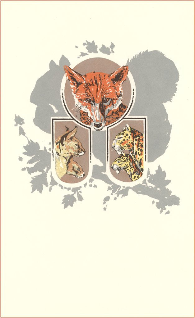 Detail of Fox, Lynx, Cougar and Squirrel Graphic by Anonymous