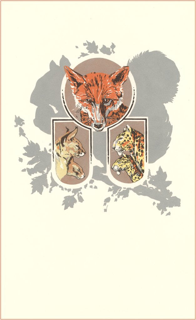 Detail of Fox, Lynx, Cougar and Squirrel Graphic by Corbis
