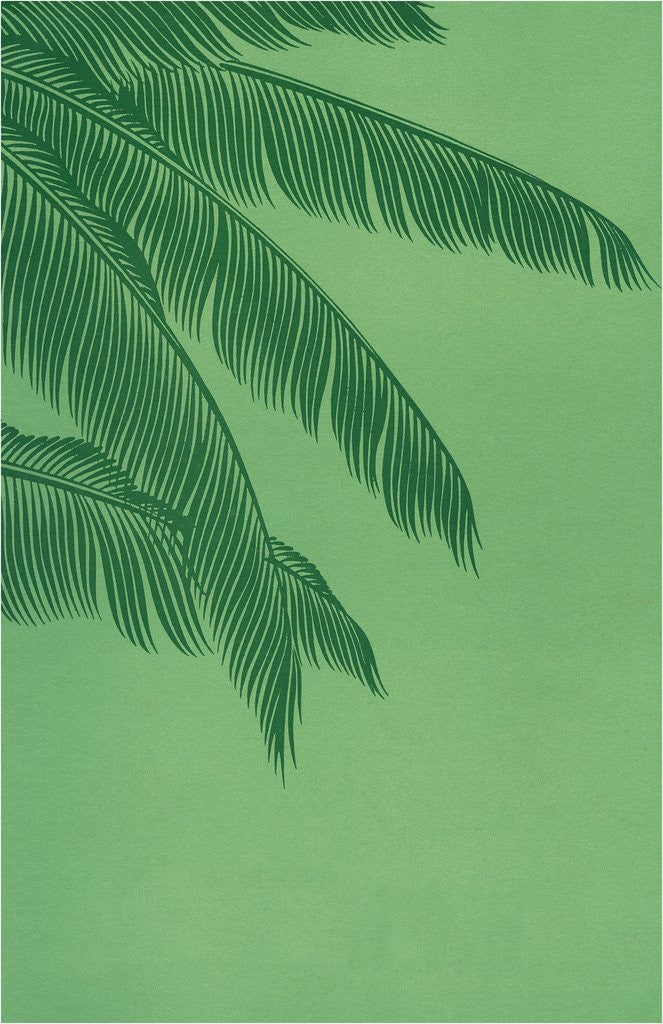 Detail of Palm fronds by Anonymous