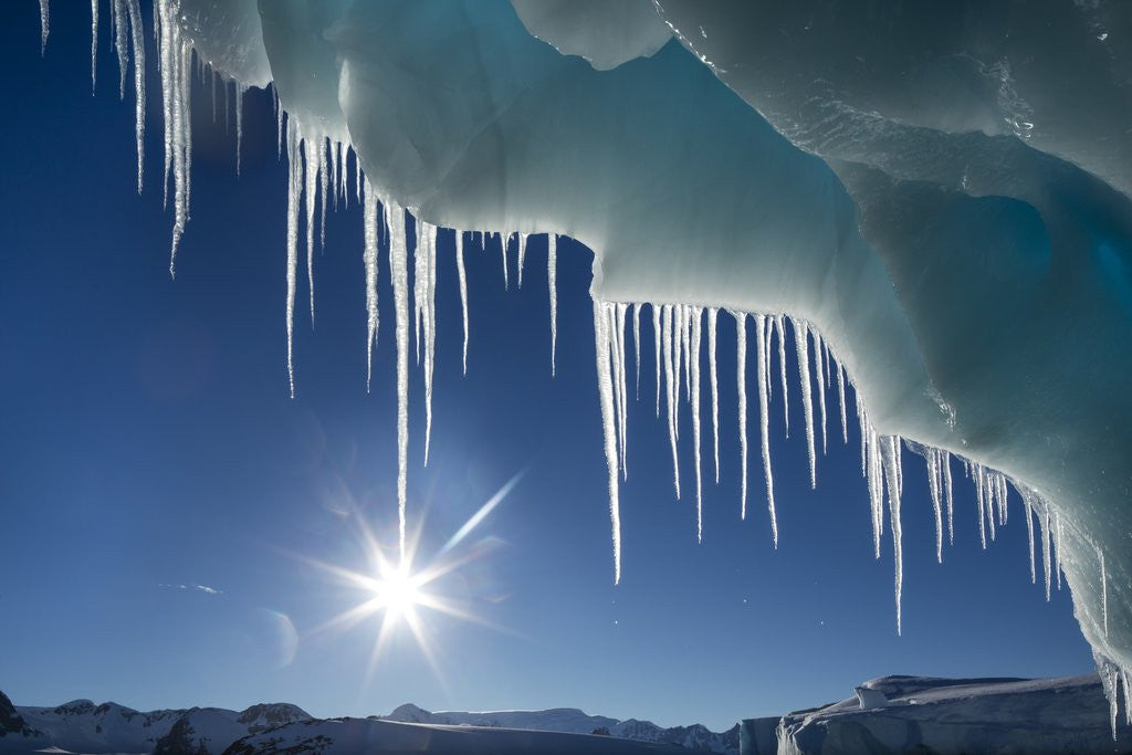 Detail of Iceberg in Lemaire Channel, Antarctica by Anonymous
