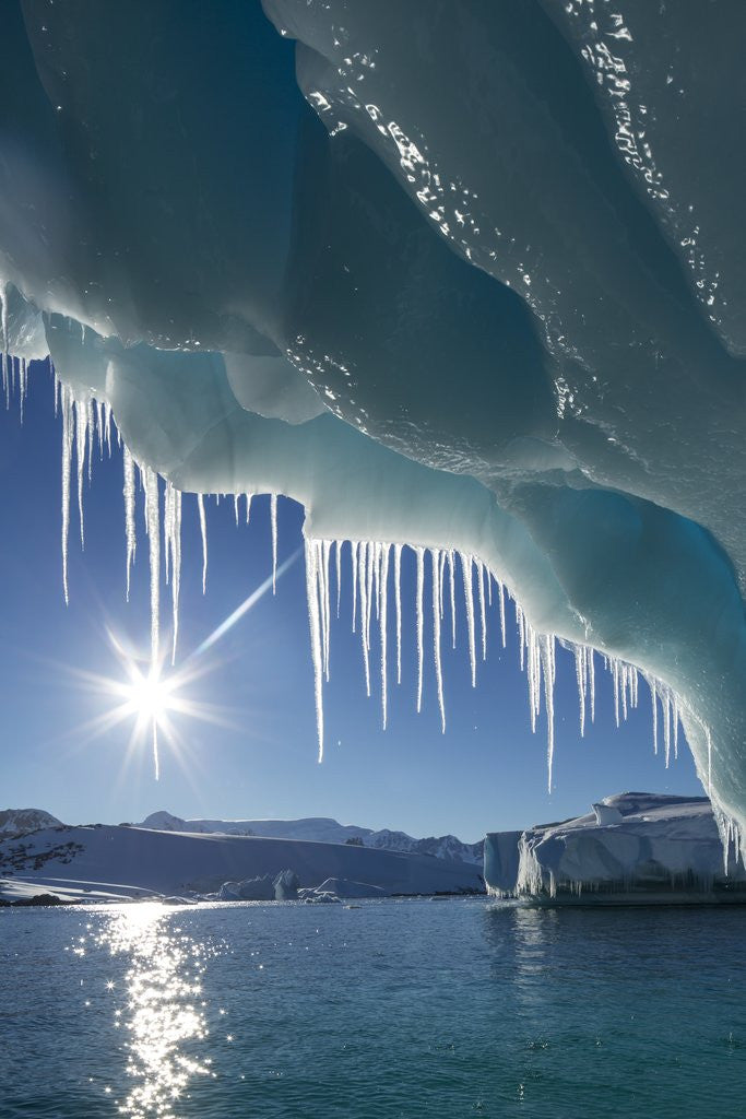 Detail of Iceberg in Lemaire Channel, Antarctica by Anonymous