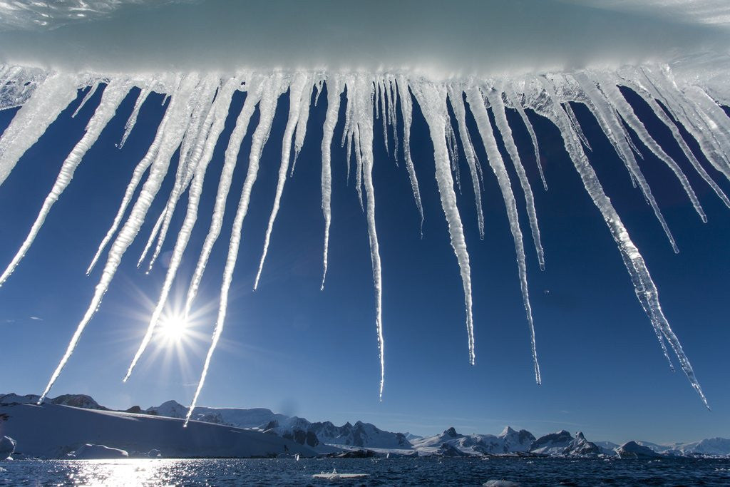 Detail of Iceberg in Lemaire Channel, Antarctica by Anonymous