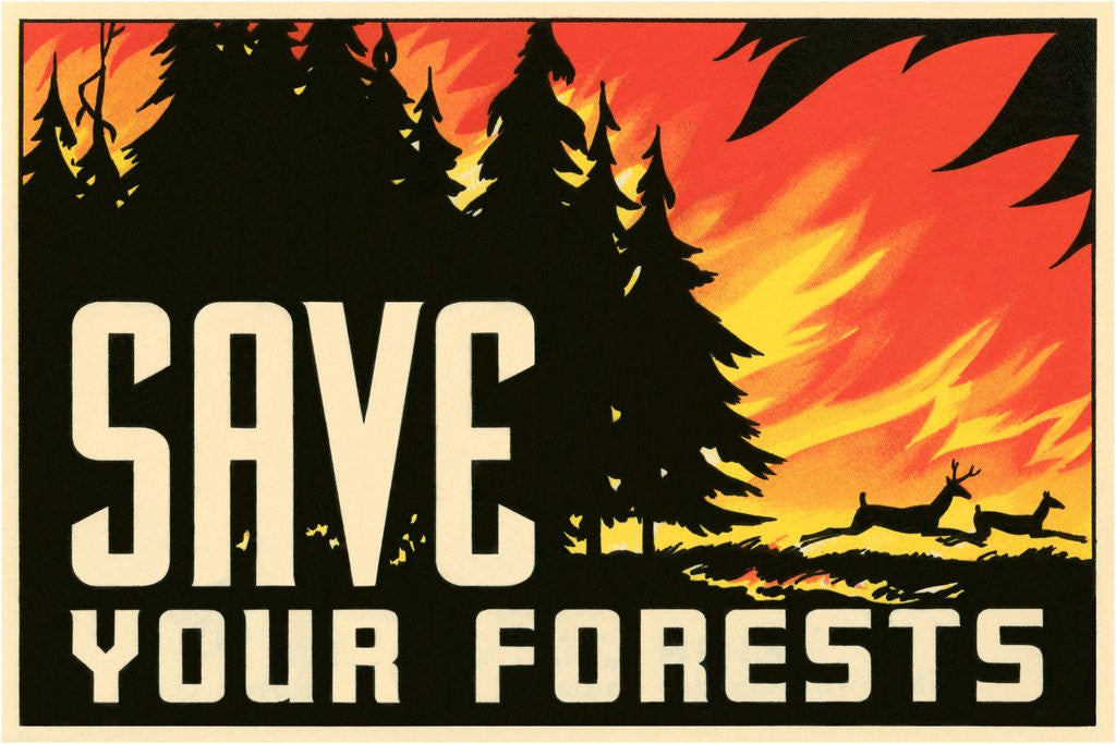 Detail of Save Your Forests Poster by Anonymous